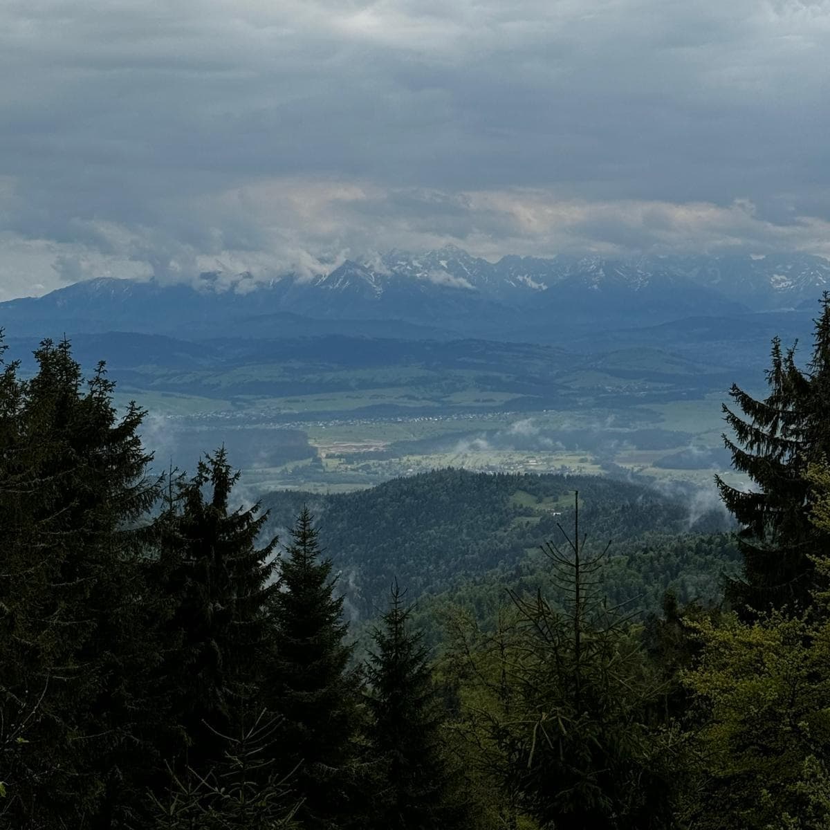 gorce